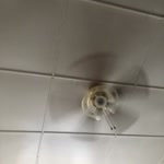 Flz