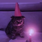 Melike
