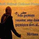 Şahin