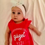 Gul