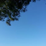Zeyda
