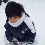 Sibel