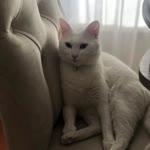 Furkan