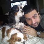 Arda