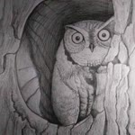 Ertan