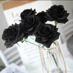 Neslihan