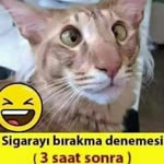 Halil