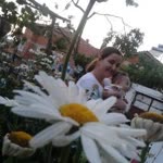 Sibel