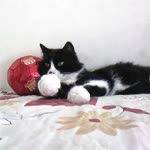 Mert