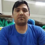 Veysel