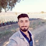 Veysi
