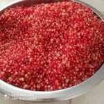Ayhan