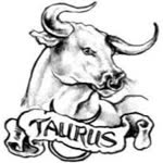 Yalçın