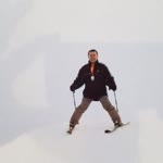 Doğan