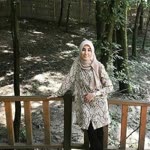 Pelin