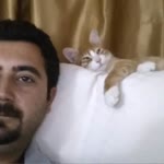 Cafer