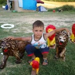 Umut