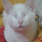 Berfu