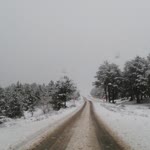 Ayhan