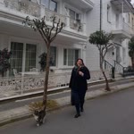 İpek