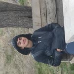 Şahin