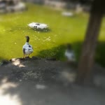 Profil fotoğrafı
