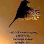 Safiye