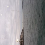 İrem