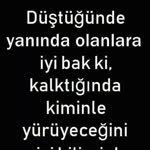 Doğan