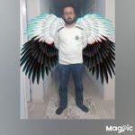 Çılgın