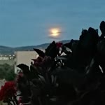 Feyza