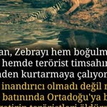 Salih