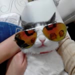 Mahmut
