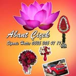 Cihan