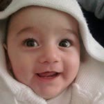 Pelin
