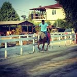 Samet