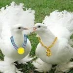 Ramazan