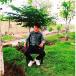 Habib