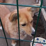 Zeynep
