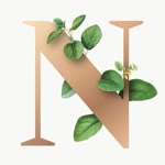 Nigar