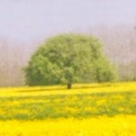 Abdullah
