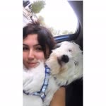 Melike
