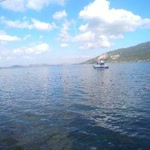 Arzu