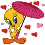 Selin