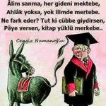 Ayşegül