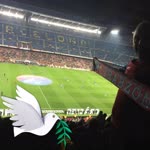 Yalçın