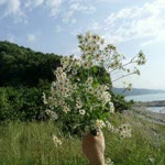 İrem