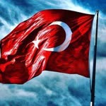 Şahin