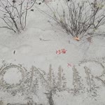 Onur