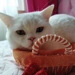 Pınar